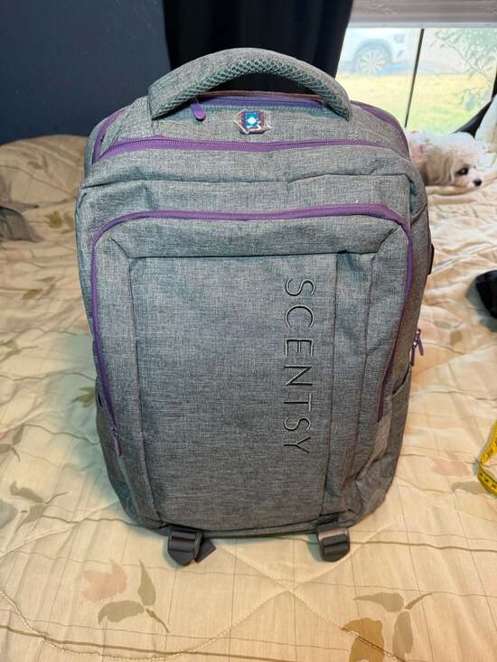 Scentsy Handbags - Scentsy Branded Gray and Purple Laptop Travel Backpack